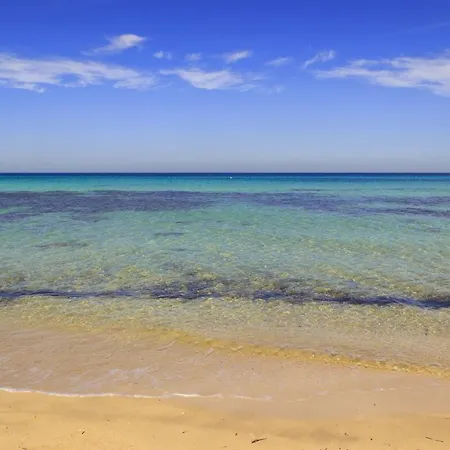 Appartamento In Torre Canne/kampanien 35492