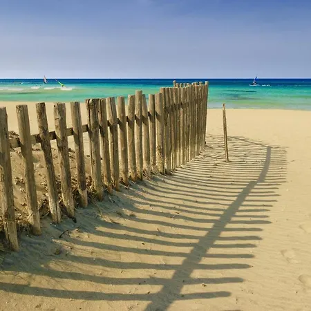 In Torre Canne/kampanien 35492 Torre Canne
